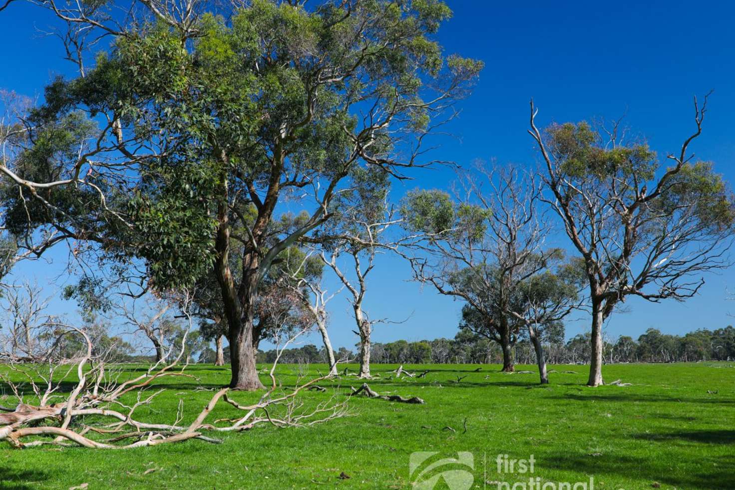 Main view of Homely residentialLand listing, Lot 46 660 Lynnes Road, Wattle Bank VIC 3995