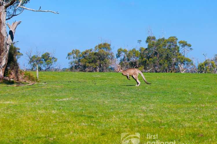 Main view of Homely residentialLand listing, LOT 47 660 LYNNES ROAD, Wattle Bank VIC 3995