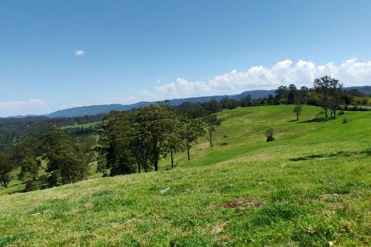 4743 Kyogle Road, Wadeville NSW 2474