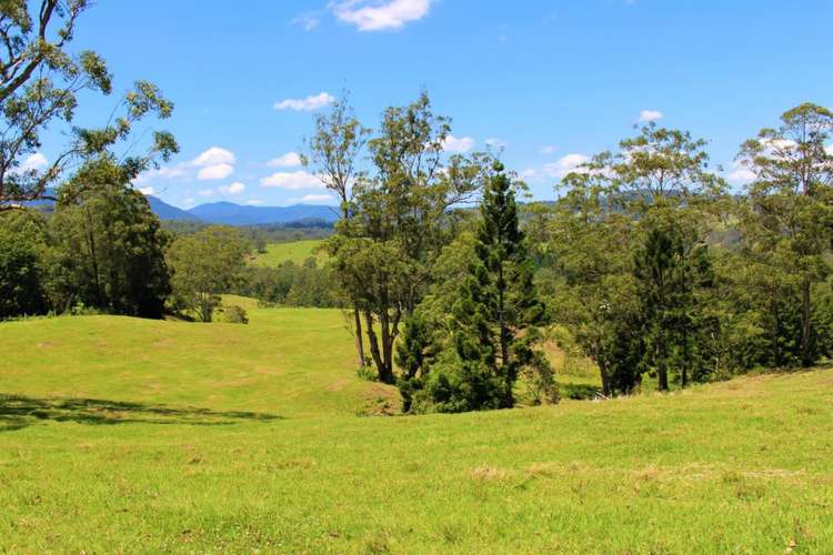 Main view of Homely livestock listing, 4753 Kyogle Road, Wadeville NSW 2474
