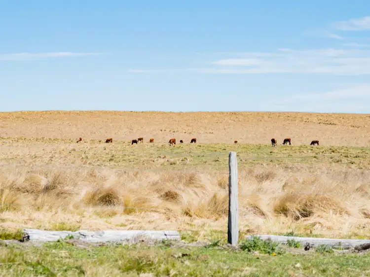 Second view of Homely rural property listing, 'Plain Paddock' Boundary Road, Tenterfield NSW 2372