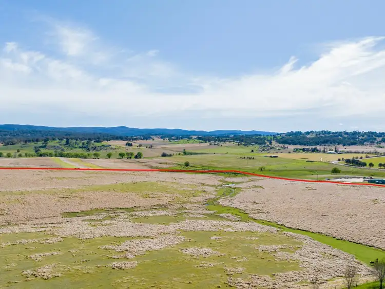 Third view of Homely rural property listing, 'Plain Paddock' Boundary Road, Tenterfield NSW 2372