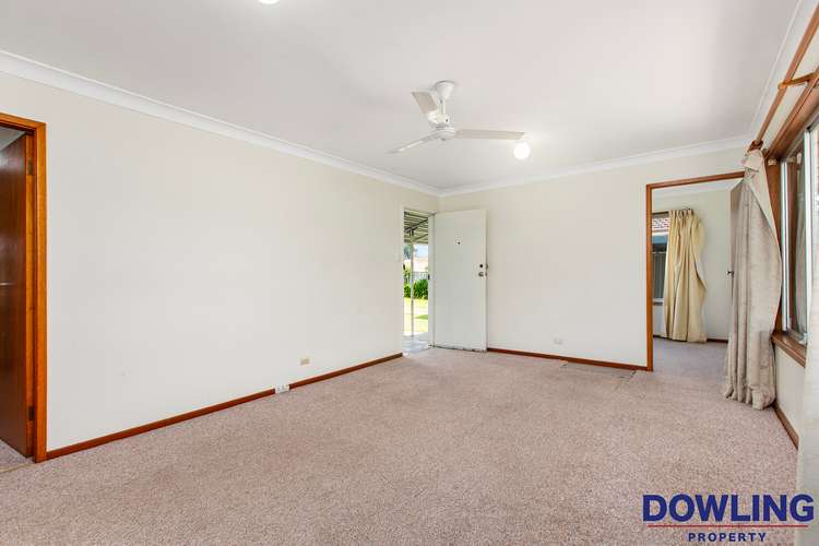 Third view of Homely house listing, 3 Hawk Street, Woodberry NSW 2322