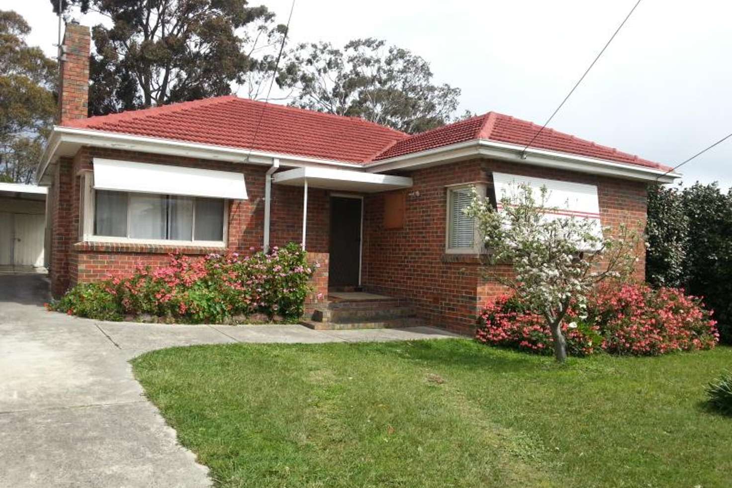 Main view of Homely house listing, 10 Woodhouse Grove, Box Hill North VIC 3129