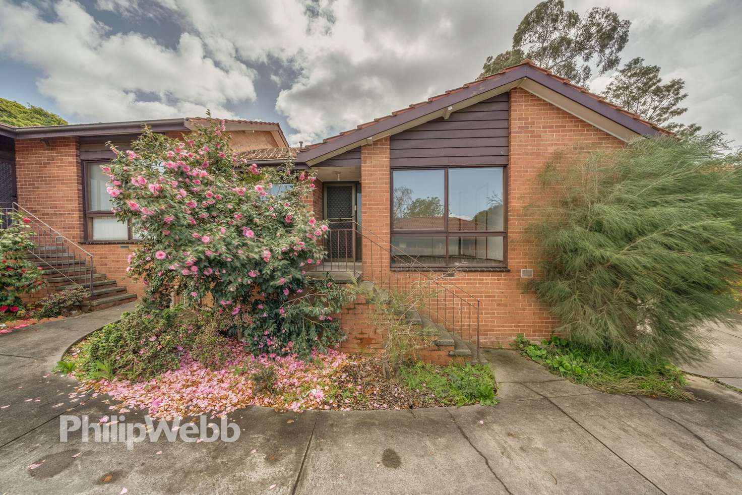 Main view of Homely unit listing, 3/381 Middleborough Road, Box Hill VIC 3128