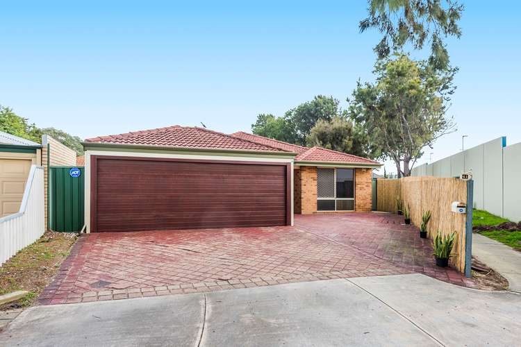 Fifth view of Homely house listing, 41 Copeland Drive, Redcliffe WA 6104