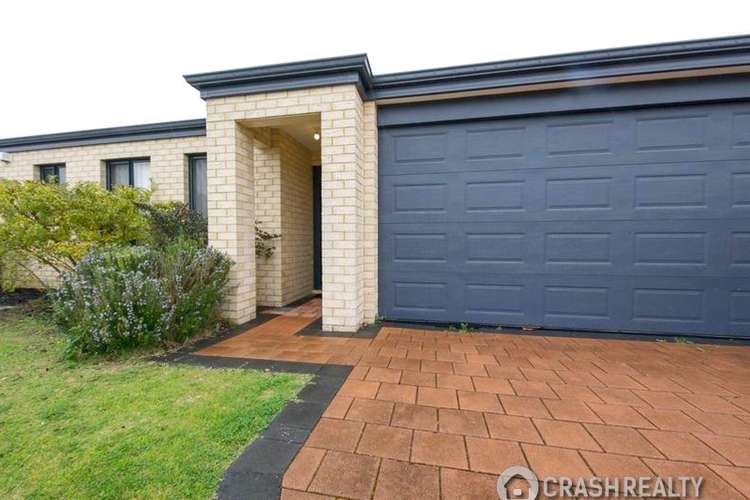 Main view of Homely house listing, 8/315 Albert Street, Balcatta WA 6021