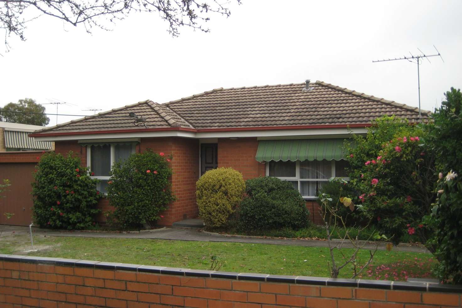 Main view of Homely unit listing, 1/10 Ashted Road, Box Hill VIC 3128