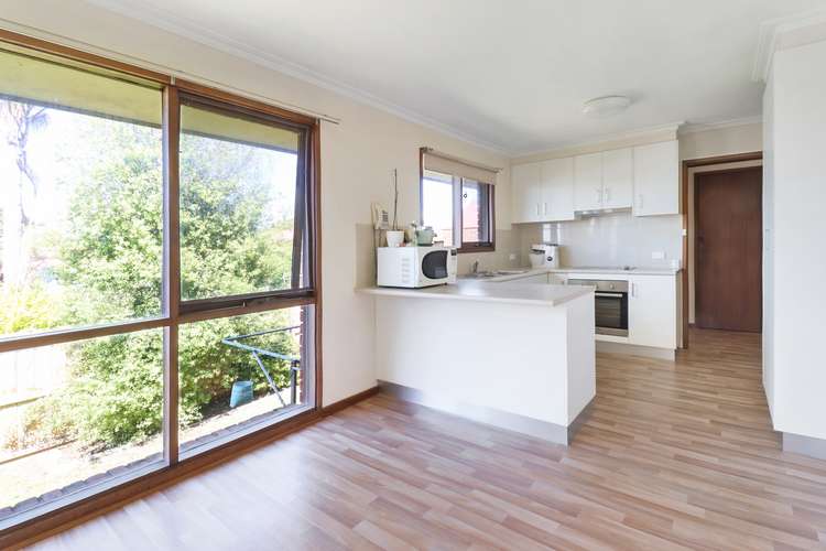 Fifth view of Homely unit listing, 41 Austin Street, Newtown VIC 3220