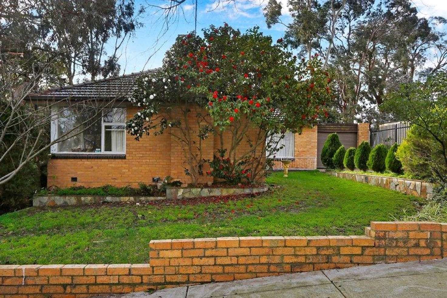 Main view of Homely house listing, 3 Kalmia Avenue, Mount Waverley VIC 3149
