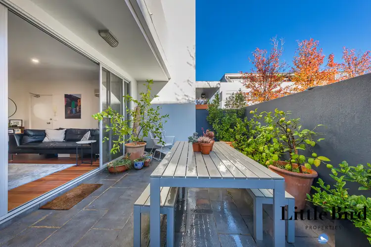 Main view of Homely apartment listing, 23/10 Macpherson Street, O'connor ACT 2602