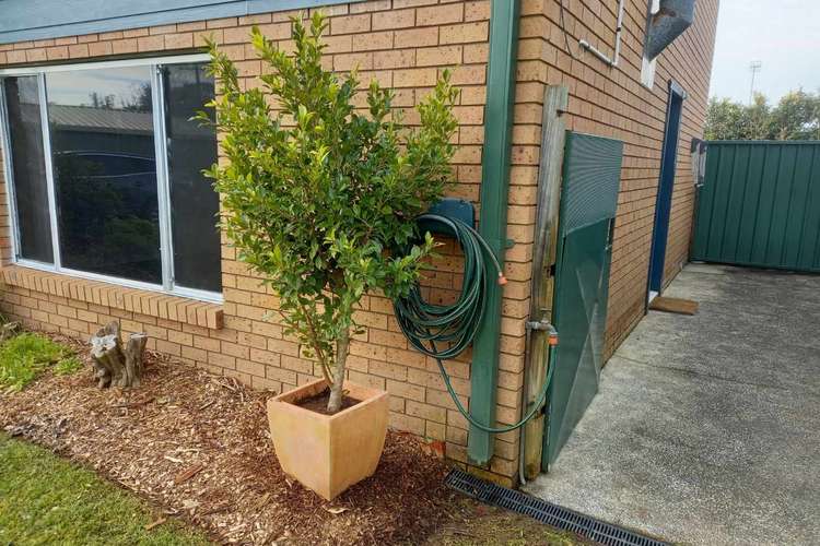 Fifth view of Homely studio listing, 4a Gannet Close, Berkeley Vale NSW 2261