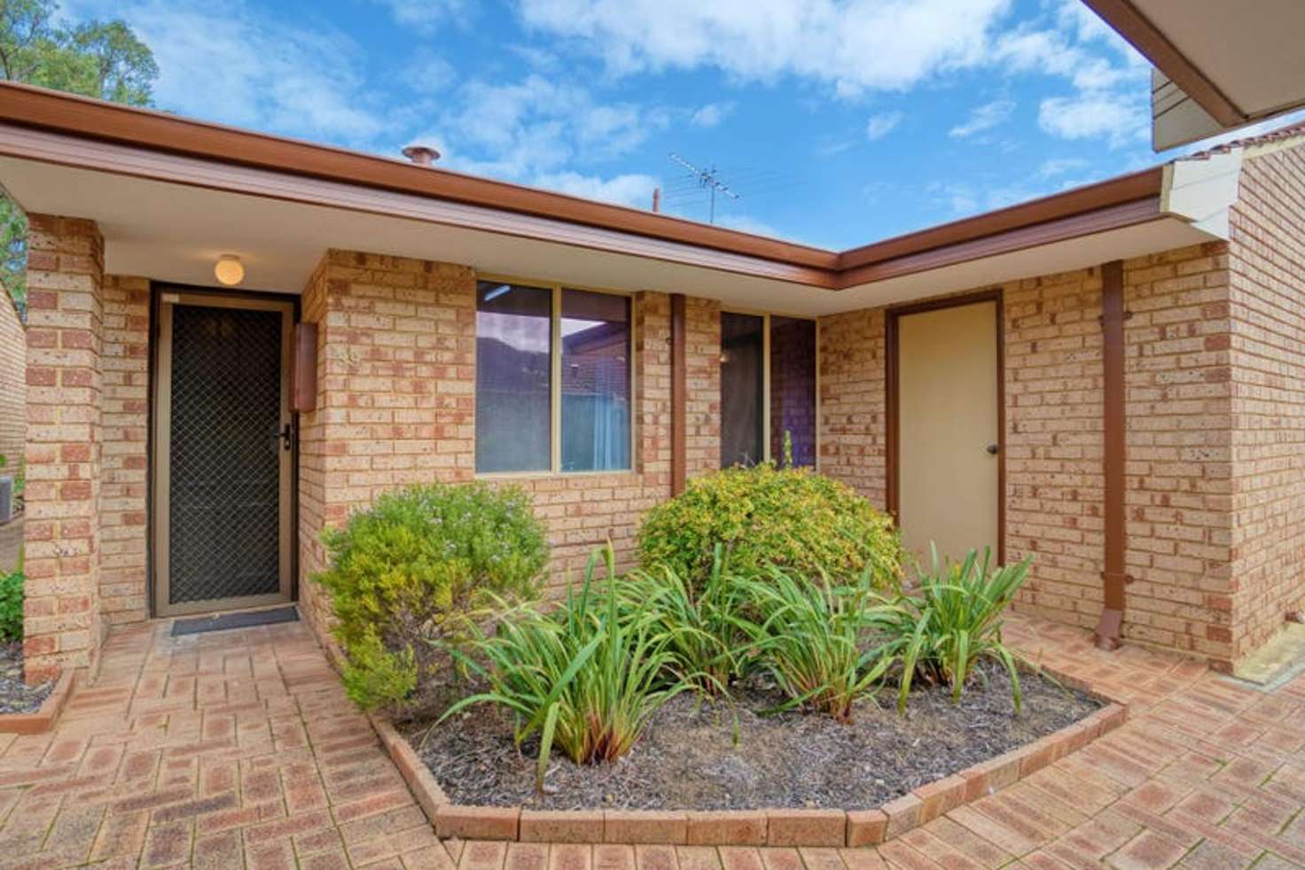 Main view of Homely unit listing, 39/11 Petterson Avenue, Samson WA 6163