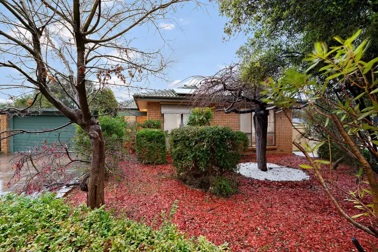 21 Cataract Street