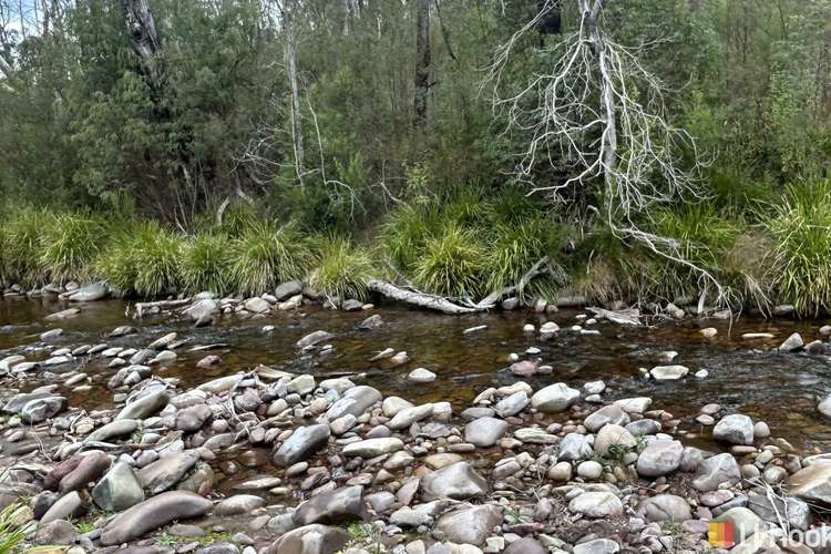 Main view of Homely residentialLand listing, 342 Murrabrine Forest Road, Cobargo NSW 2550