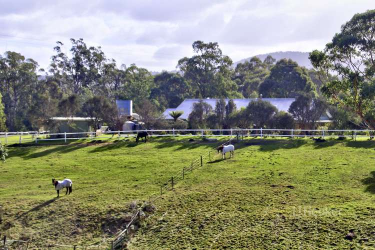 Main view of Homely acreageSemiRural listing, 19 Gully Road, Nowa Nowa VIC 3887