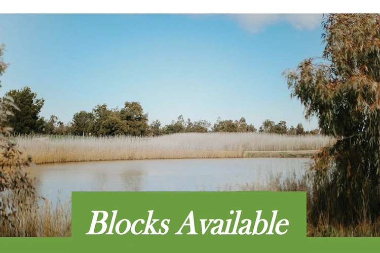 Lot 213/110 Dappo Road, Narromine NSW 2821