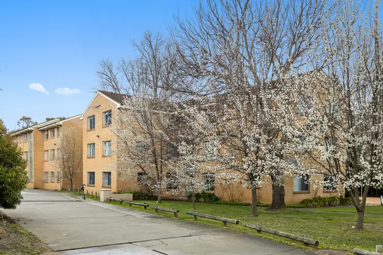 Main view of Homely apartment listing, 1/41 David Street, O'connor ACT 2602