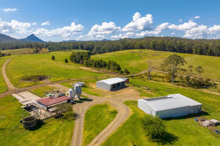 Second view of Homely mixedFarming listing, 80 Mortons Road, Killabakh NSW 2429