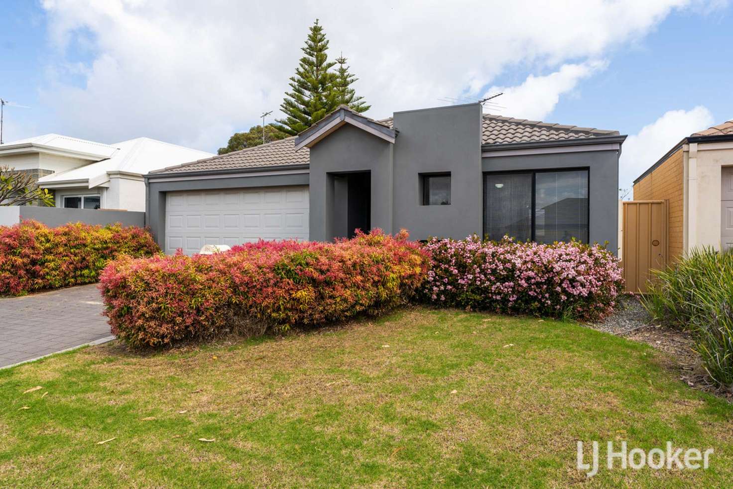 Main view of Homely house listing, 8 Yilberra Drive, Falcon WA 6210