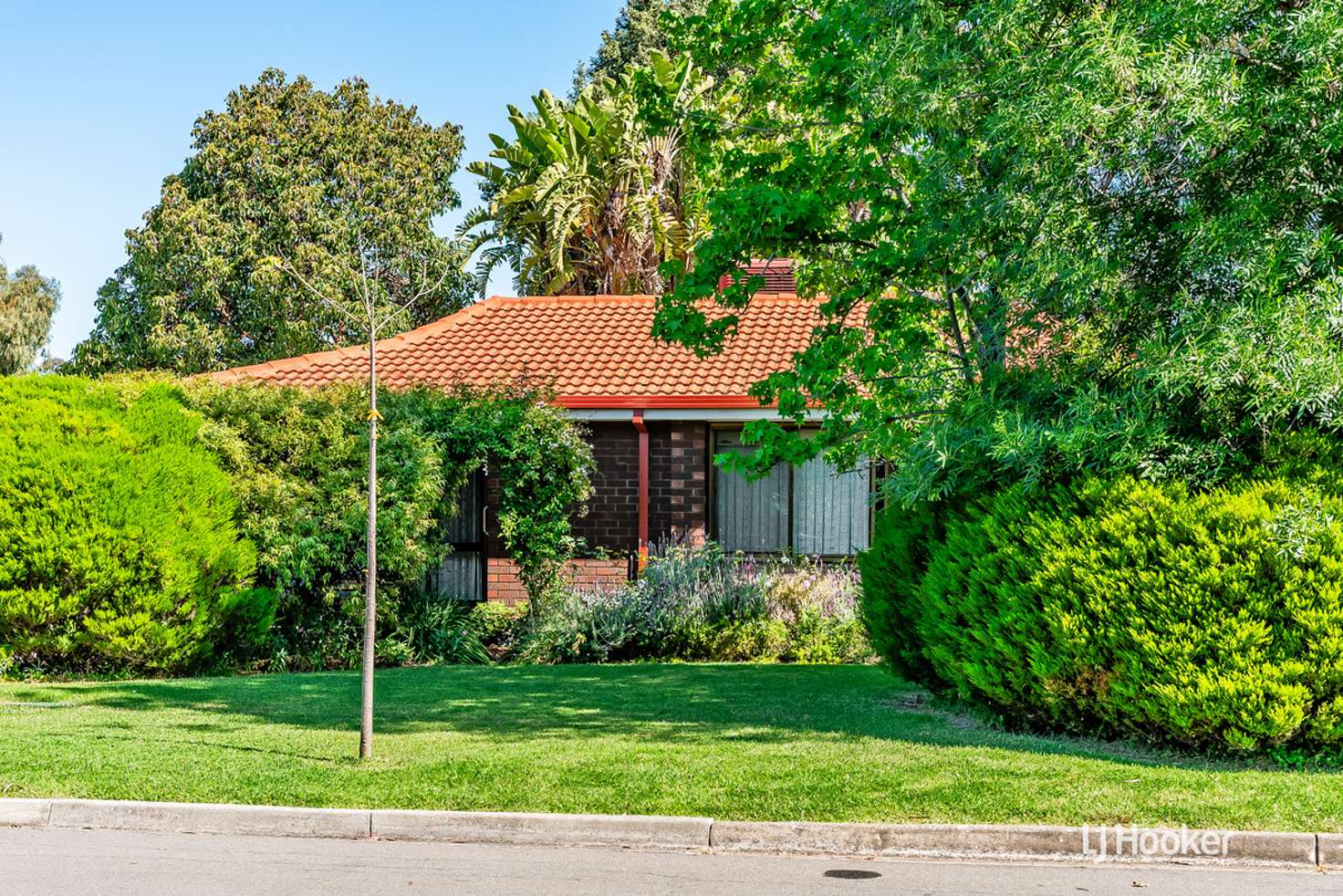 Main view of Homely house listing, 14 Chapman Crescent, Redwood Park SA 5097
