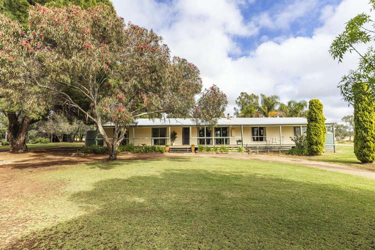 Main view of Homely ruralOther listing, 59 Forrester Lane, Woorinen South VIC 3588