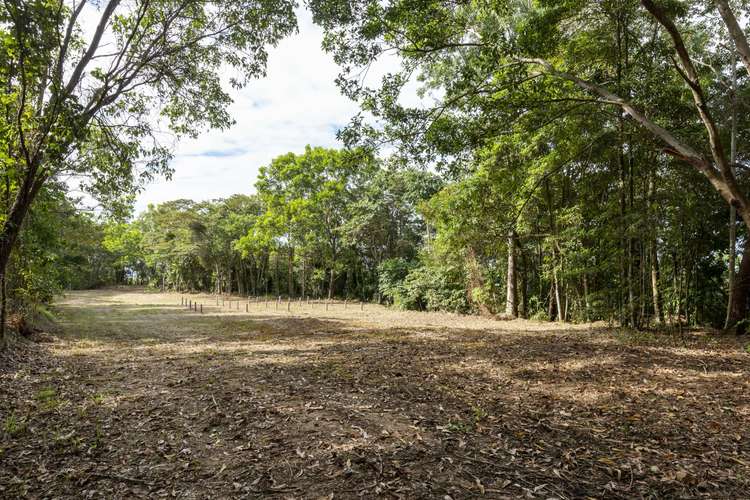 Main view of Homely residentialLand listing, Lot 11 Sawmill Road, Mossman QLD 4873