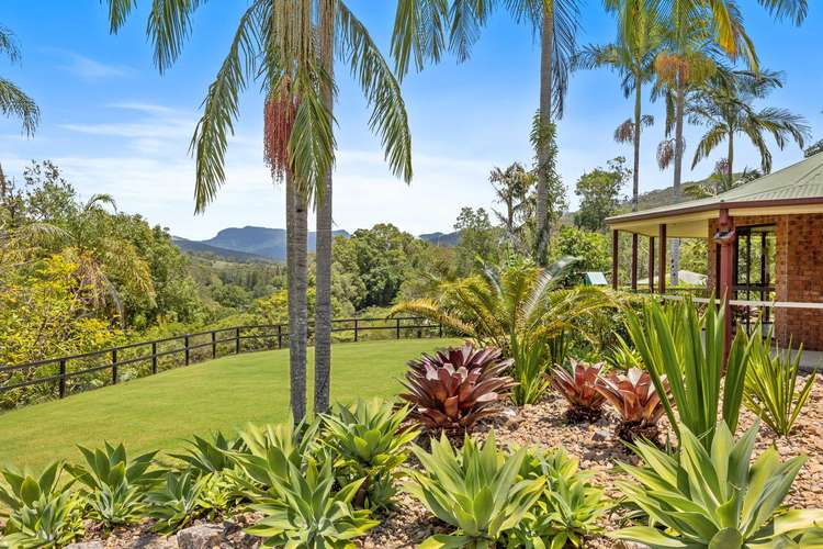 Main view of Homely house listing, 6 Fresco Court, Tallebudgera Valley QLD 4228