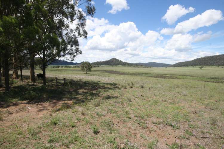 Fourth view of Homely livestock listing, Lot 173 Kings Creek, Yarrawa NSW 2328