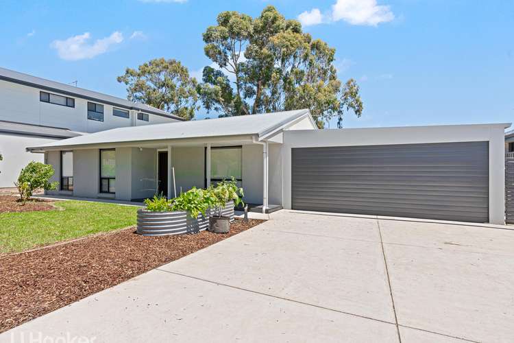 Main view of Homely house listing, 45 Australia Avenue, Modbury SA 5092