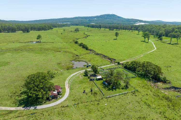 Main view of Homely livestock listing, 289 Featherstones Road, Upper Corindi NSW 2456