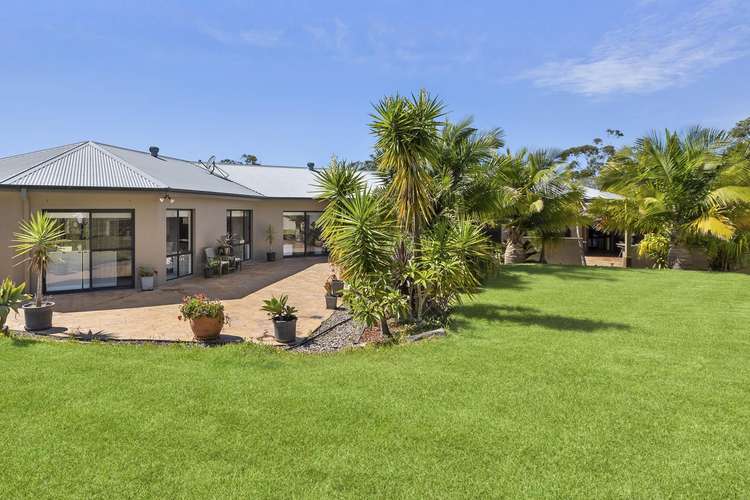 Main view of Homely house listing, 56 Waratah Road, Ingleside NSW 2101