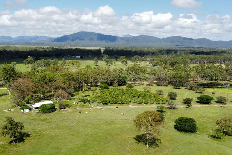 Main view of Homely acreageSemiRural listing, 404 Turkey Beach Road, Turkey Beach QLD 4678