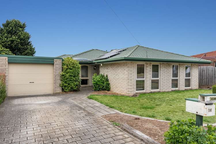 16 Clydesdale Crescent, Belmont VIC 3216