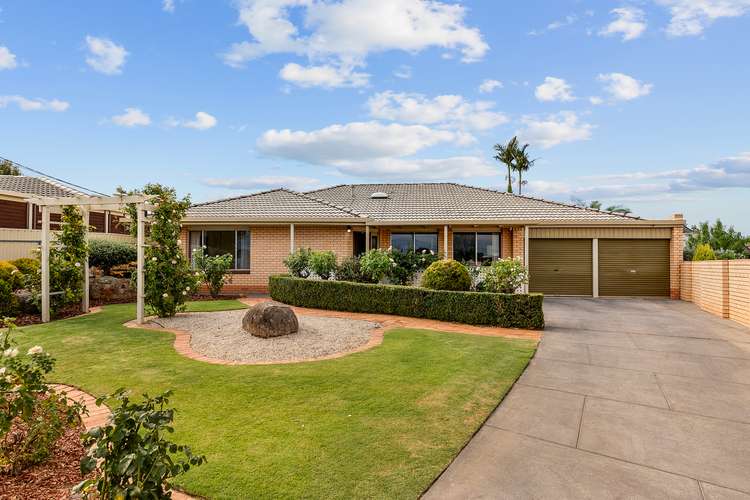 Main view of Homely house listing, 8 Knight Avenue, Windsor Gardens SA 5087