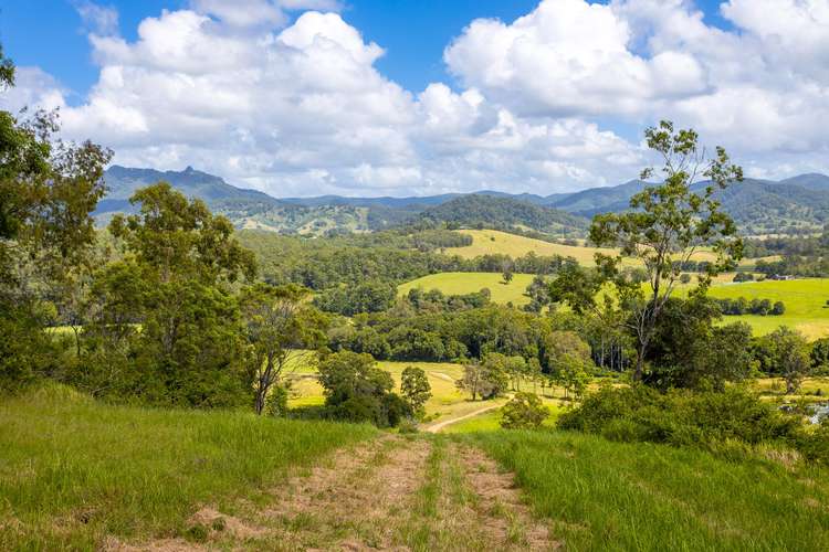 Main view of Homely ruralOther listing, Lot 101 Beitibombi Creek Road, Wherrol Flat NSW 2429