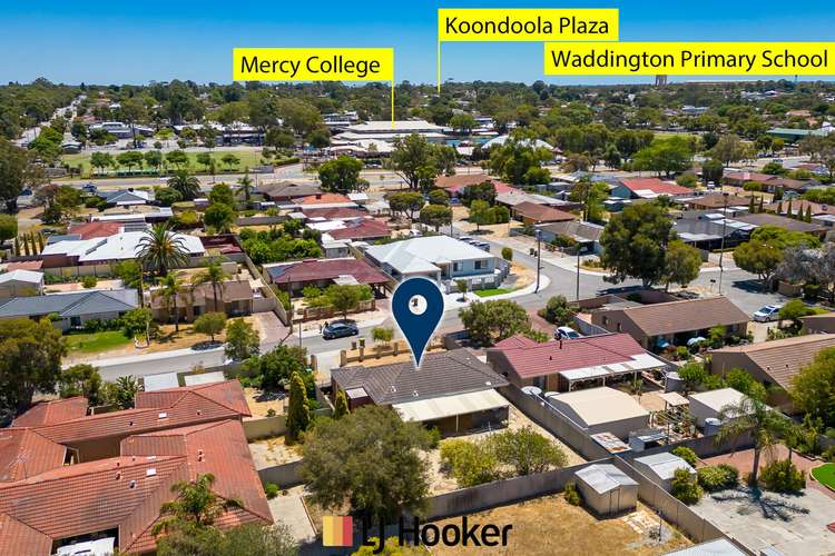 Main view of Homely house listing, 19 Mottlecah Way, Mirrabooka WA 6061