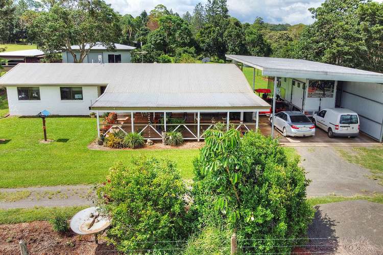 Main view of Homely house listing, 166 McLeish Road, Lake Eacham QLD 4884