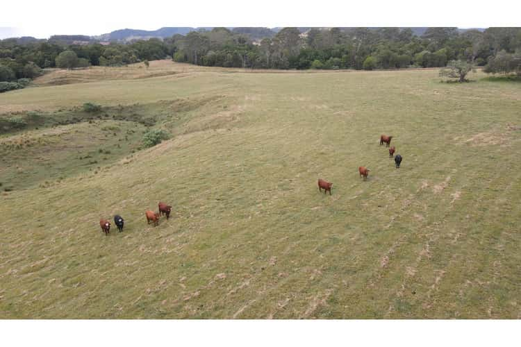 1262 Willina Road, Bunyah NSW 2429