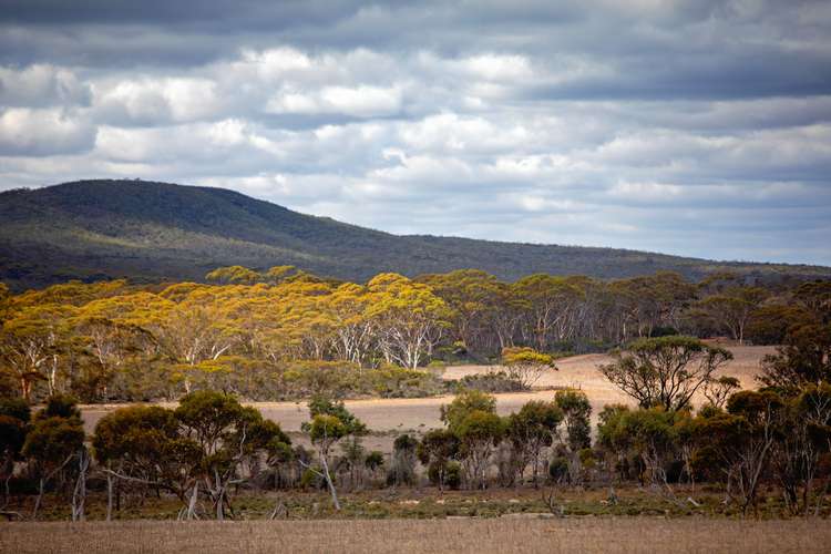 Lot 344/ Hopetoun-Ravensthorpe Road, Ravensthorpe WA 6346