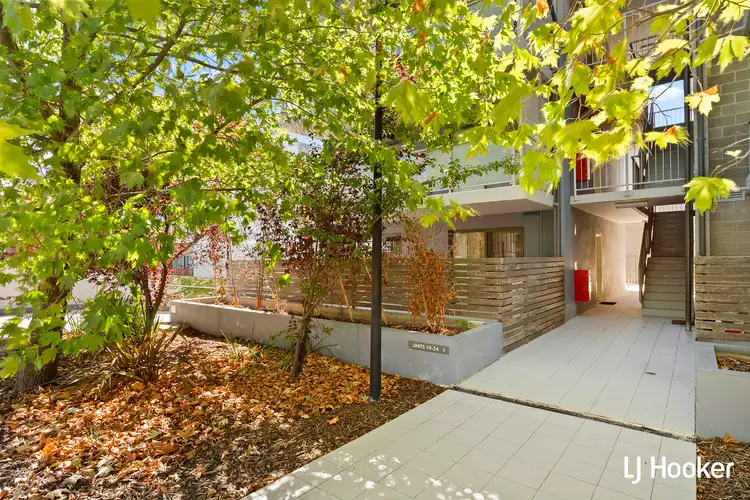 20/126 Thynne Street