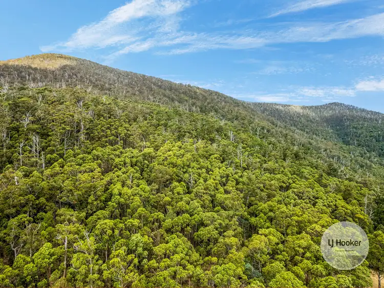 Main view of Homely land listing, (PID: 5803 Mount Charles Road, Lachlan TAS 7140