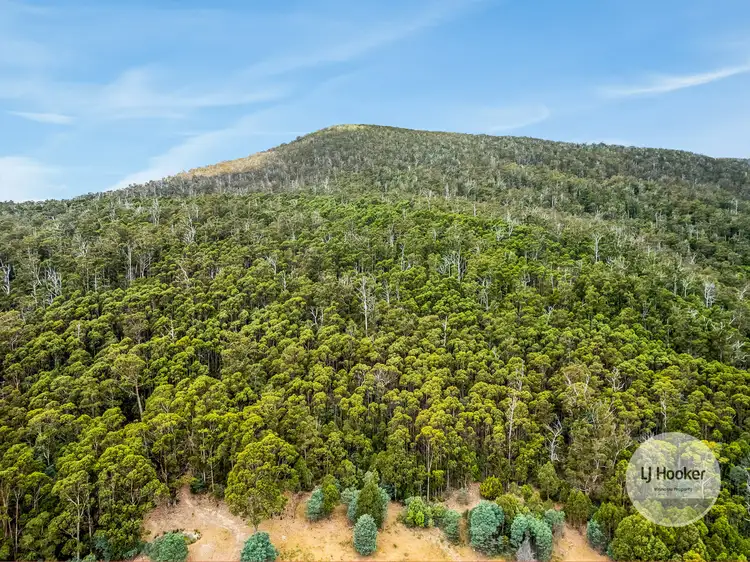 Second view of Homely land listing, (PID: 5803 Mount Charles Road, Lachlan TAS 7140