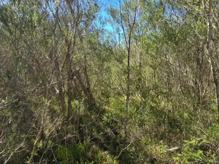Fourth view of Homely land listing, 12 Deegan Avenue, Hollands Landing VIC 3862