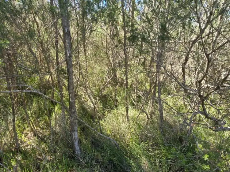 Sixth view of Homely land listing, 12 Deegan Avenue, Hollands Landing VIC 3862