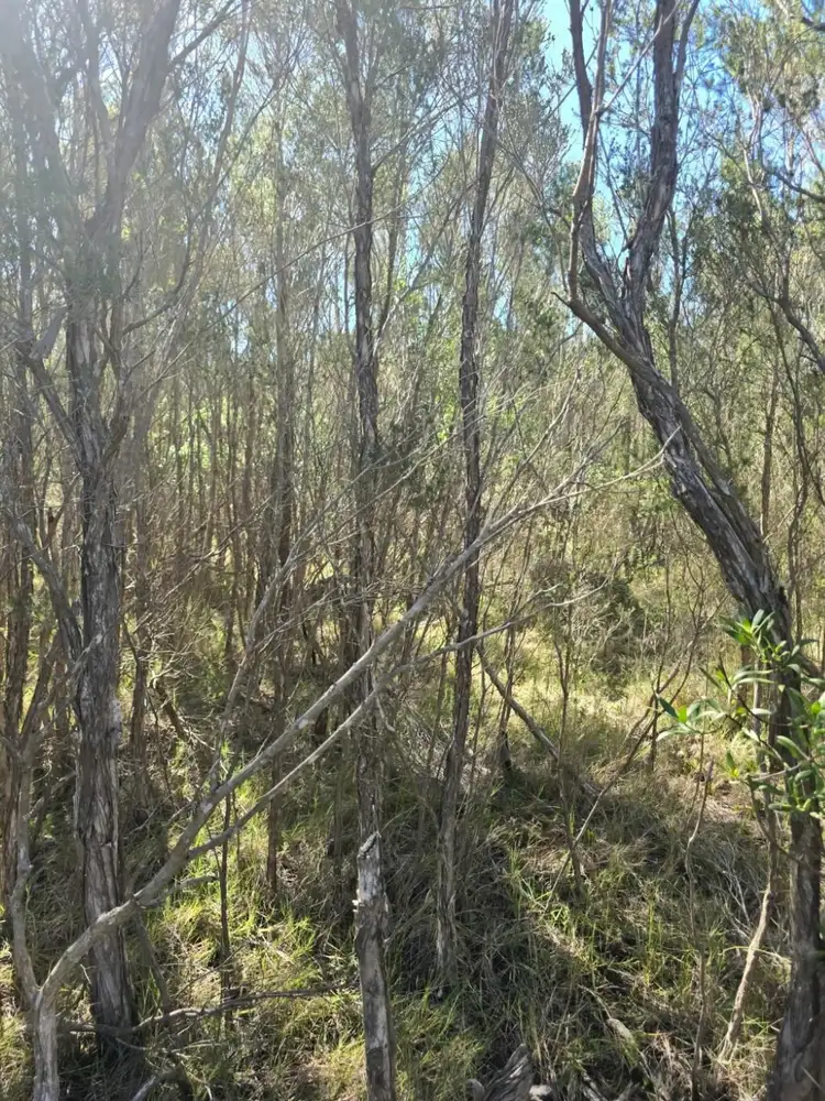 Second view of Homely land listing, 30 Bettong Avenue, Hollands Landing VIC 3862