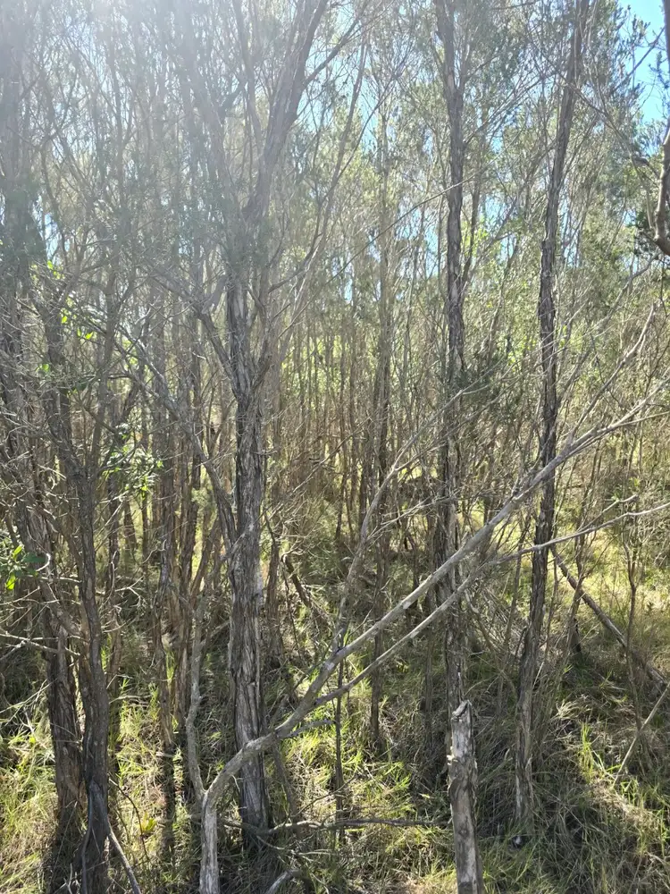 Seventh view of Homely land listing, 30 Bettong Avenue, Hollands Landing VIC 3862
