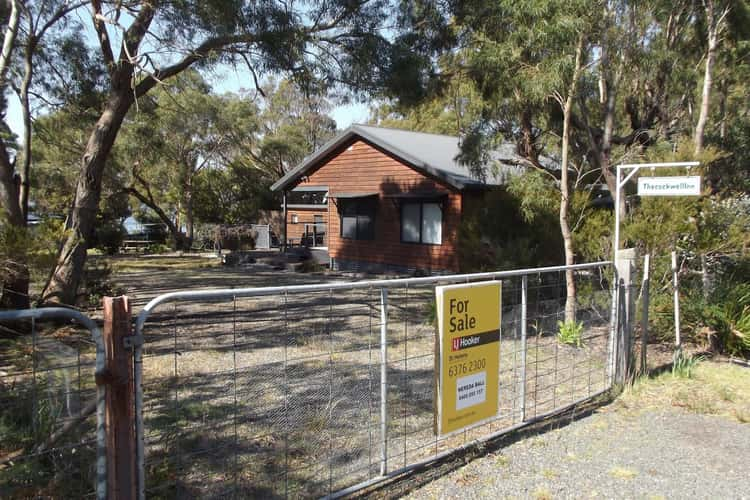 Main view of Homely house listing, 19 Melaleuca Street, Ansons Bay TAS 7264