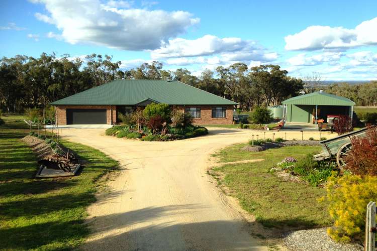 Main view of Homely house listing, 13 Corella Court, Inverell NSW 2360