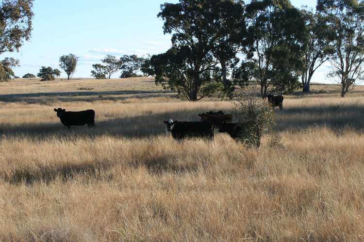 Second view of Homely ruralOther listing, Lot 237 Loloma Road, Warwick QLD 4370